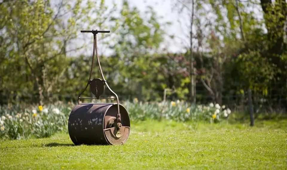 A lawn roller sitting in a lawn in front of a garden.